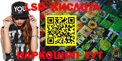 PSILOCYBIN Ирбит