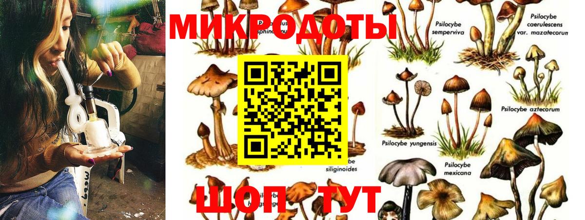 Галлюциногенные грибы MAGIC MUSHROOMS  Вход с VPN  Курчалой  Галлюциногенные грибы ЛСД 