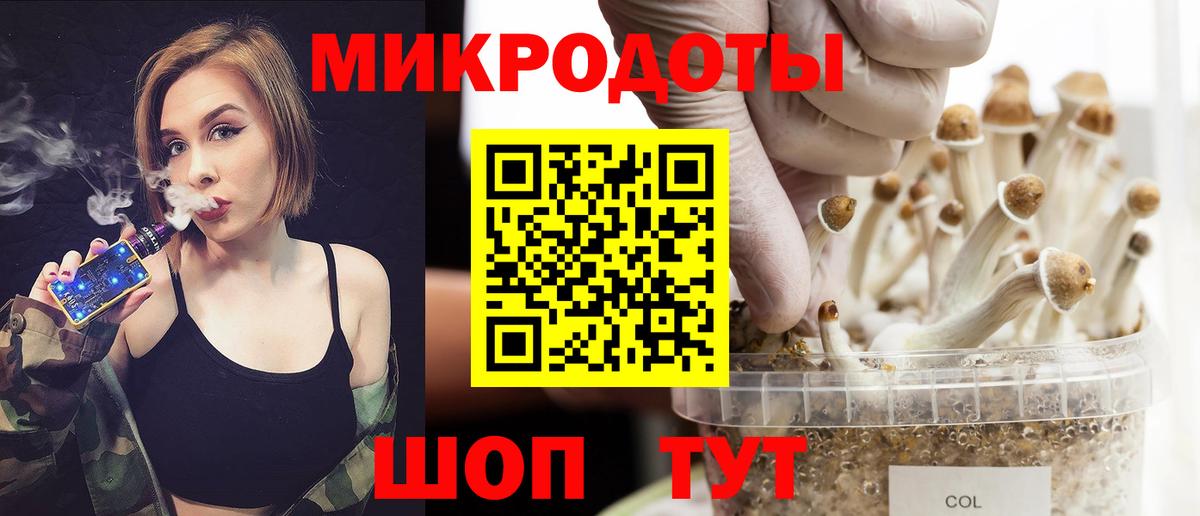 Галлюциногенные грибы мухоморы Курчалой